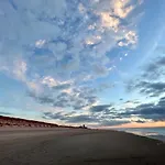 Seestern